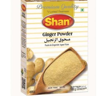 Shan Ginger Powder – 100g (Wholesale)